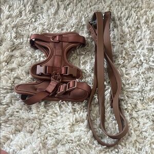 Brown Dog Harness and Leash Set